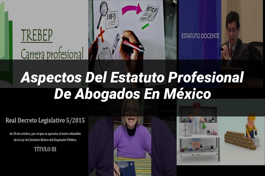 "Aspectos del estatuto profesional de abogados en México"