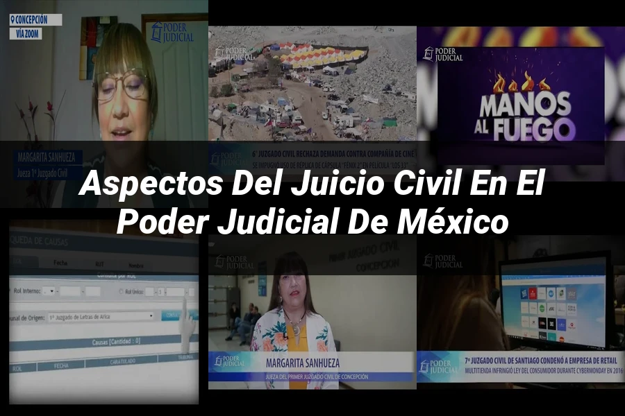 "Aspectos del juicio civil en el poder judicial de México"