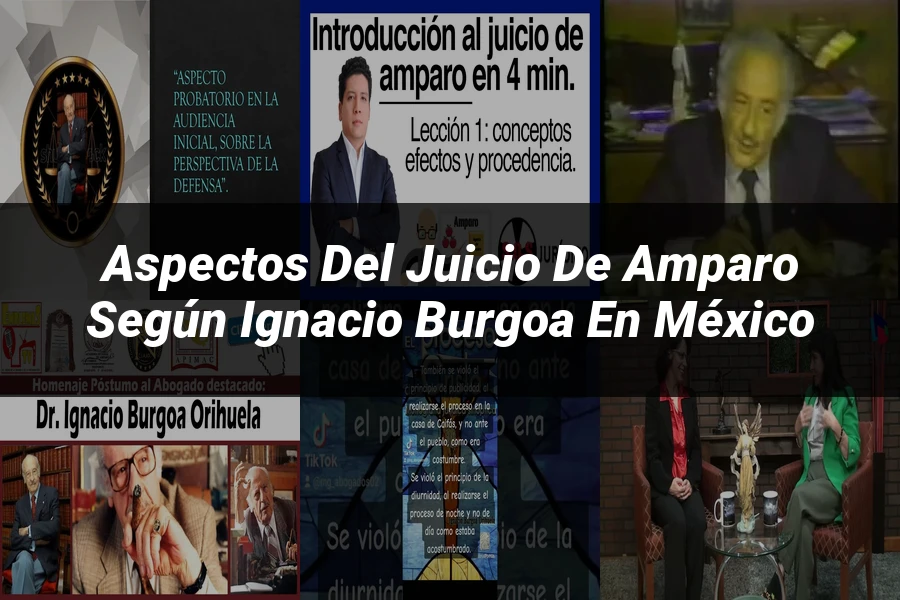 "Aspectos del juicio de amparo según Ignacio Burgoa en México"