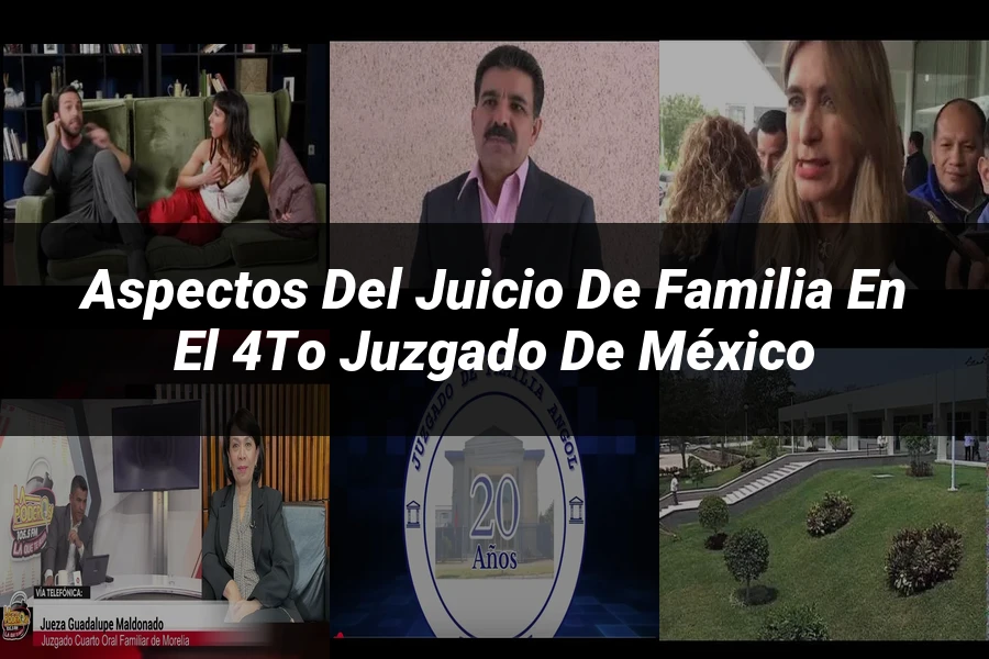 "Aspectos del juicio de familia en el 4to juzgado de México"
