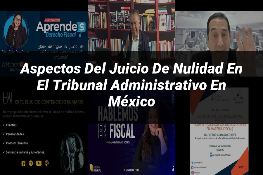 "Aspectos del juicio de nulidad en el tribunal administrativo en México"