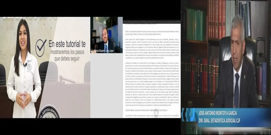 "Aspectos del juicio en línea en México que debes considerar"
