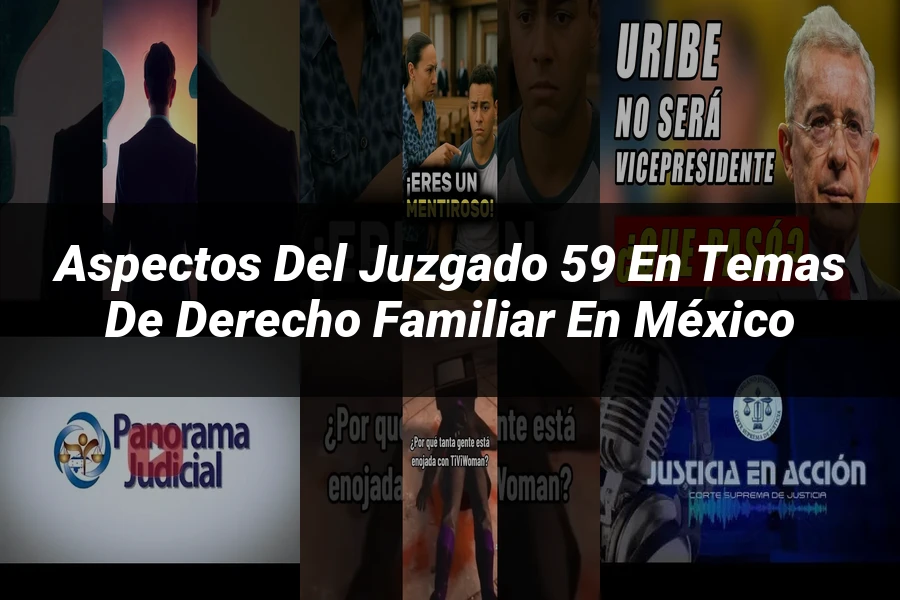 "Aspectos del juzgado 59 en temas de derecho familiar en México"