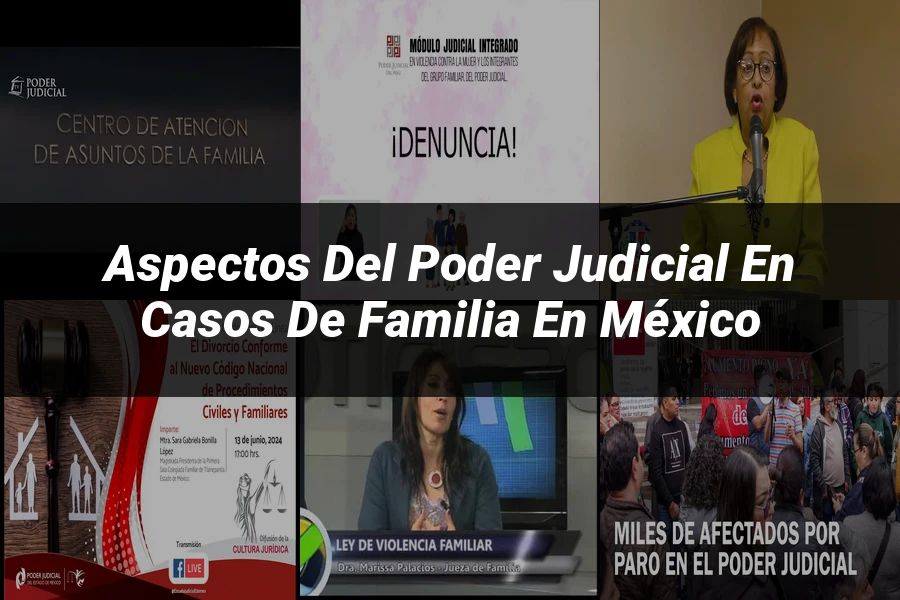 "Aspectos del poder judicial en casos de familia en México"