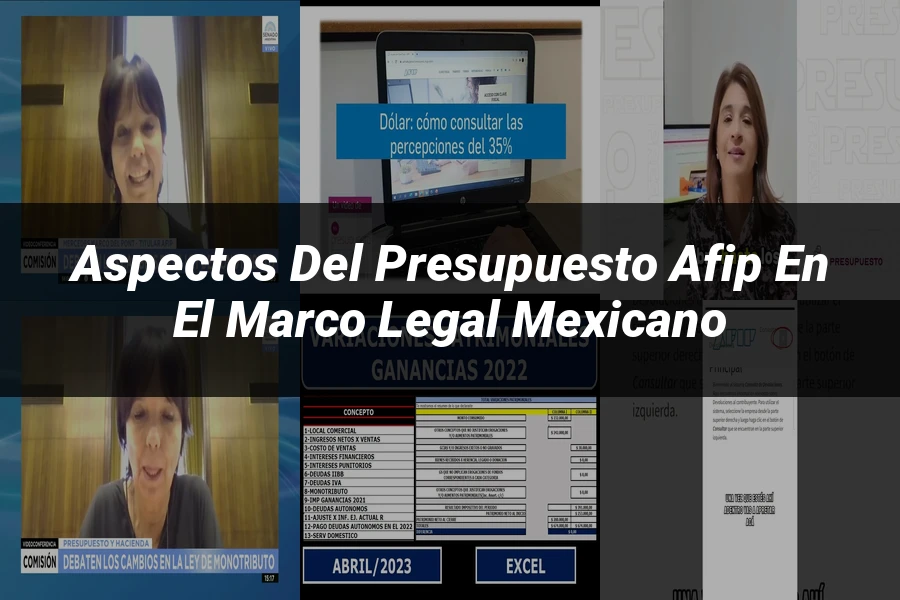 "Aspectos del presupuesto afip en el marco legal mexicano"