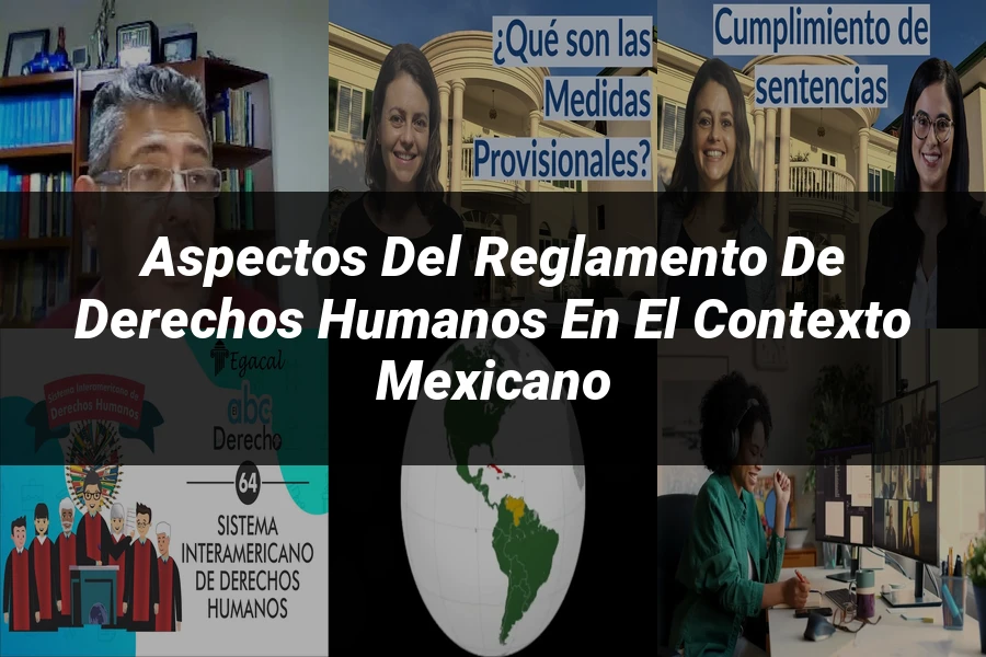 "Aspectos del reglamento de derechos humanos en el contexto mexicano"