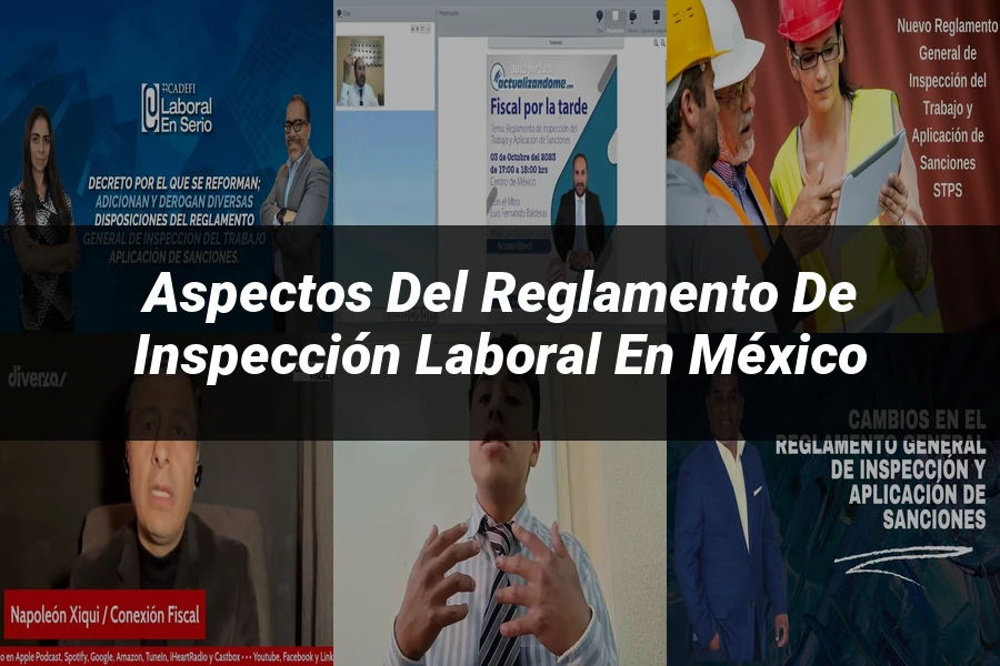 "Aspectos del reglamento de inspección laboral en México"