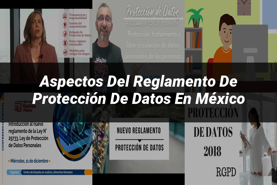 "Aspectos del reglamento de protección de datos en México"