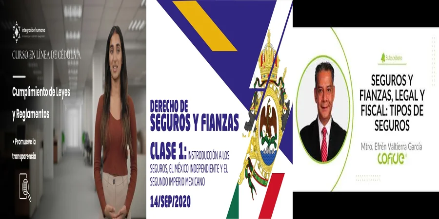 "Aspectos del reglamento de seguros y fianzas en México"