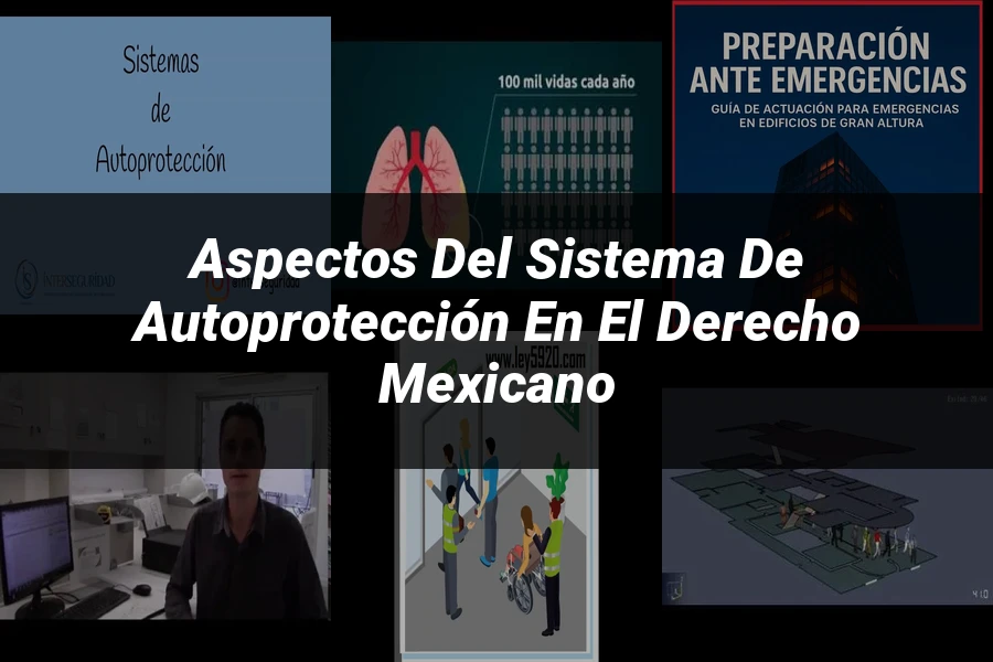 "Aspectos del sistema de autoprotección en el derecho mexicano"