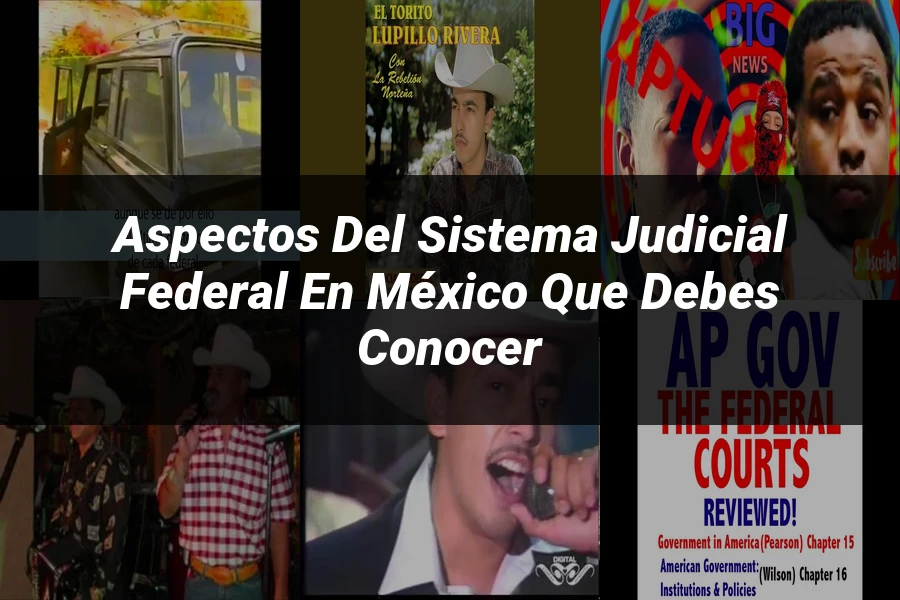 "Aspectos del sistema judicial federal en México que debes conocer"
