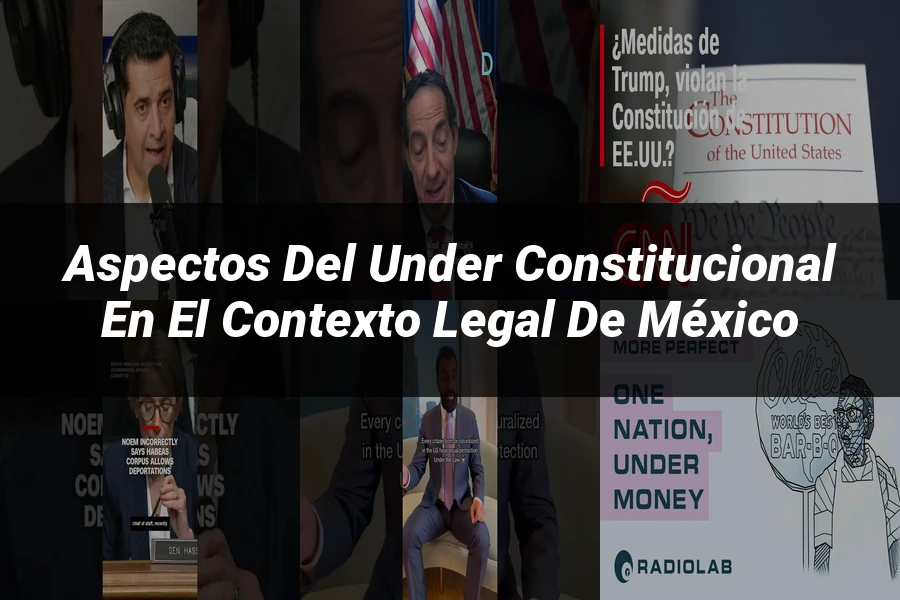 "Aspectos del under constitucional en el contexto legal de México"