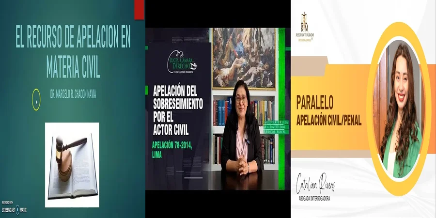 "Aspectos esenciales de la apelación civil en México"