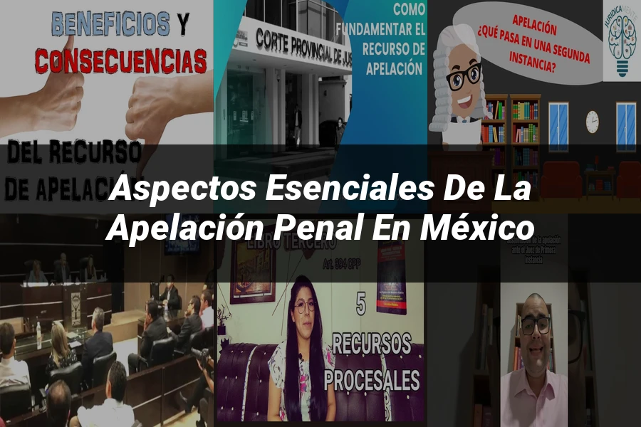 "Aspectos esenciales de la apelación penal en México"