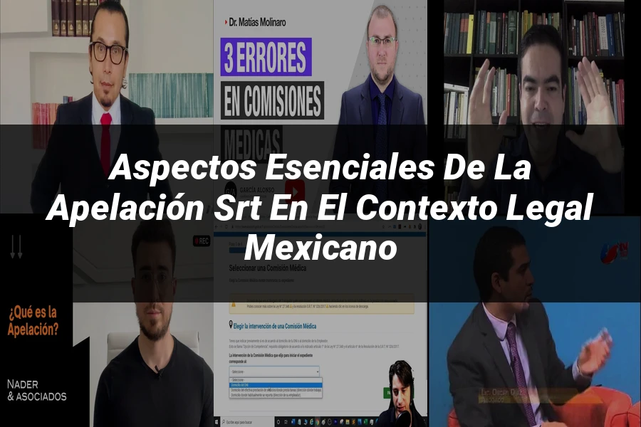 "Aspectos esenciales de la apelación srt en el contexto legal mexicano"