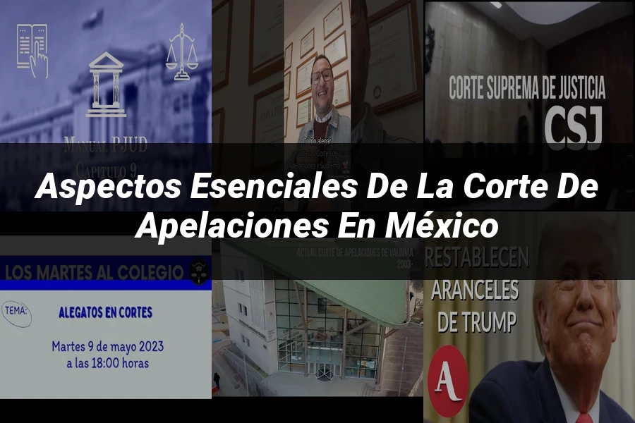 "Aspectos esenciales de la corte de apelaciones en México"
