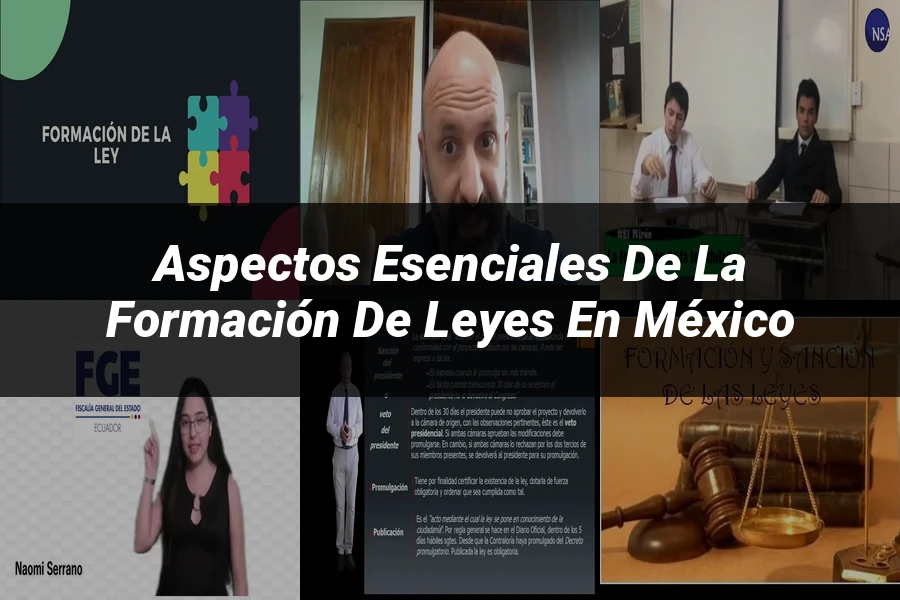 "Aspectos esenciales de la formación de leyes en México"
