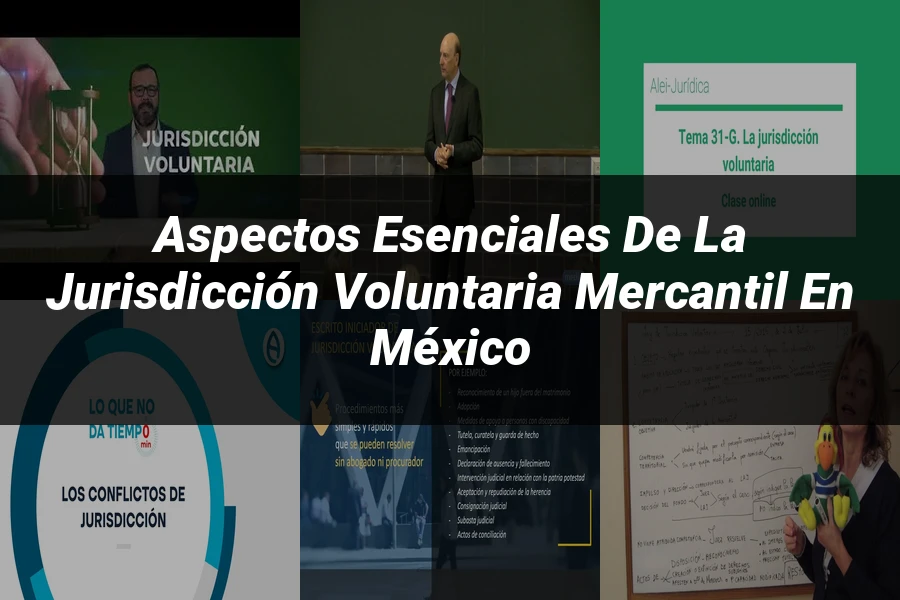 "Aspectos esenciales de la jurisdicción voluntaria mercantil en México"