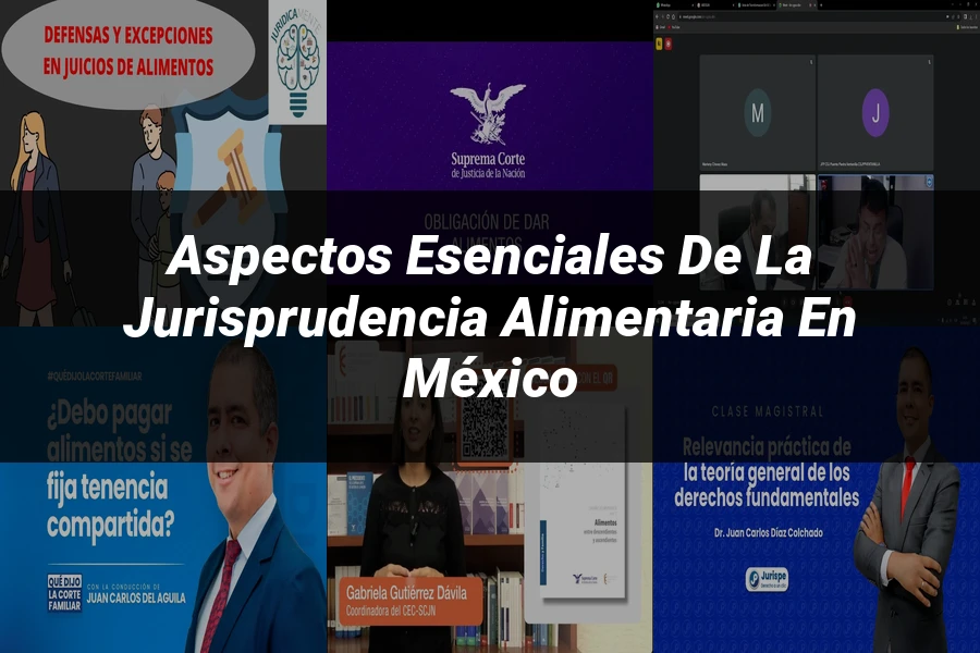 "Aspectos esenciales de la jurisprudencia alimentaria en México"