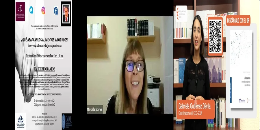 "Aspectos esenciales de la jurisprudencia alimentaria en México"
