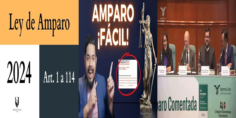 "Aspectos esenciales de la legislación de amparo en México"