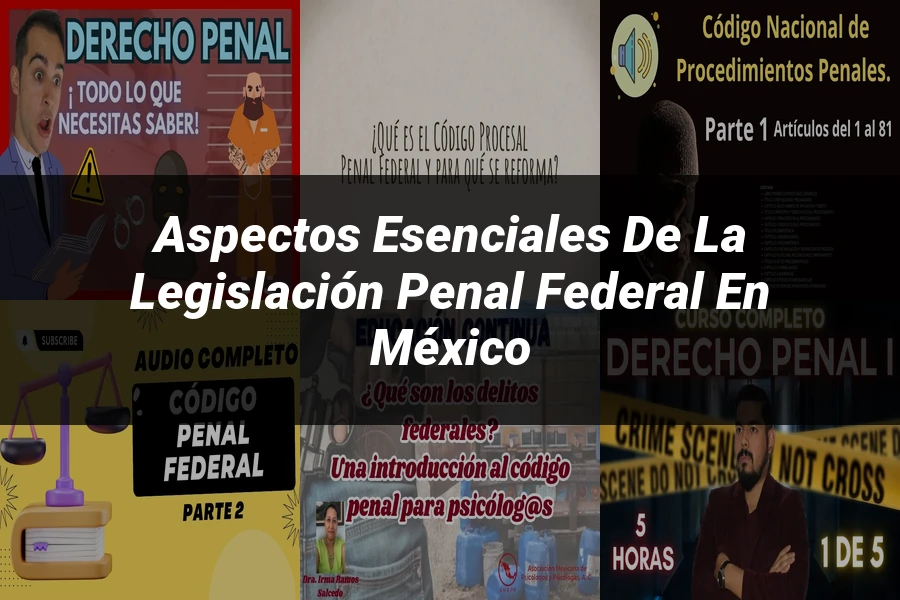 "Aspectos esenciales de la legislación penal federal en México"