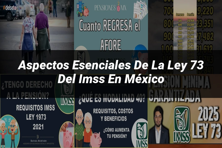 "Aspectos esenciales de la ley 73 del IMSS en México"