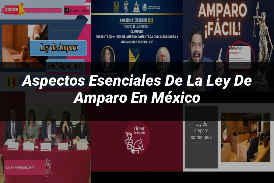 "Aspectos esenciales de la ley de amparo en México"