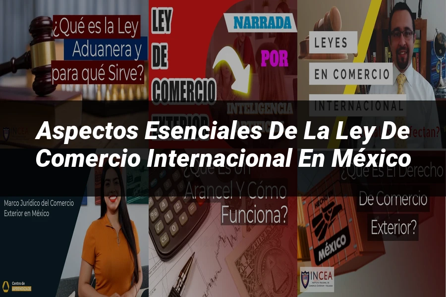 "Aspectos esenciales de la ley de comercio internacional en México"