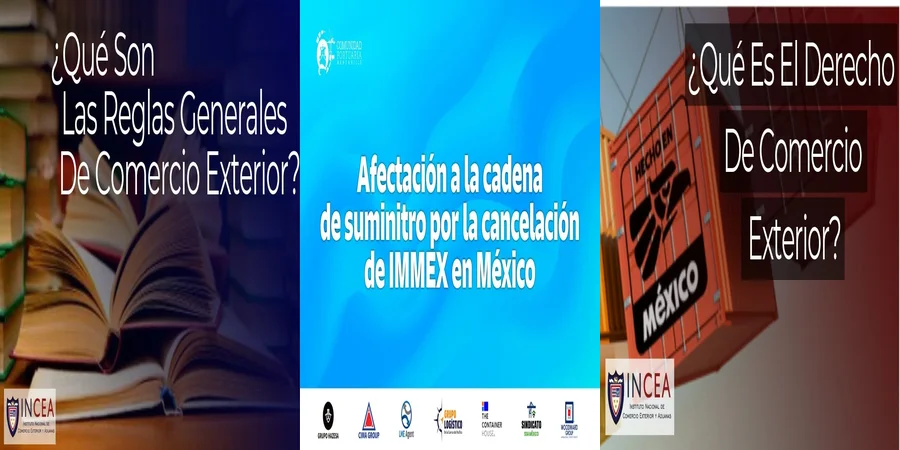 "Aspectos esenciales de la ley de comercio internacional en México"