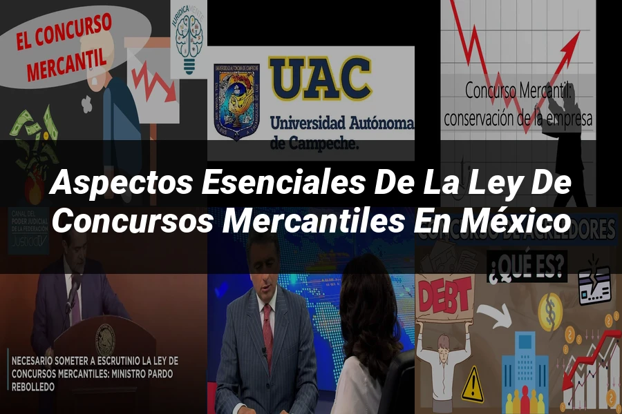 "Aspectos esenciales de la ley de concursos mercantiles en México"