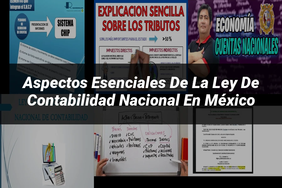 "Aspectos esenciales de la ley de contabilidad nacional en México"