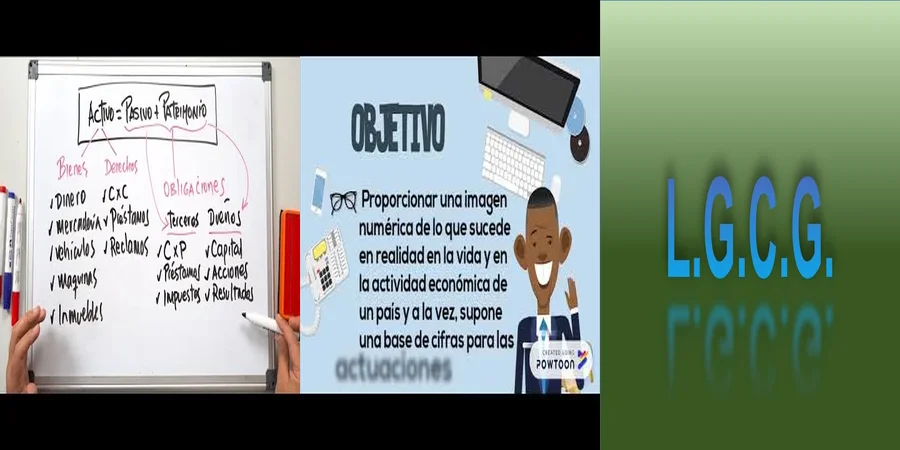 "Aspectos esenciales de la ley de contabilidad nacional en México"
