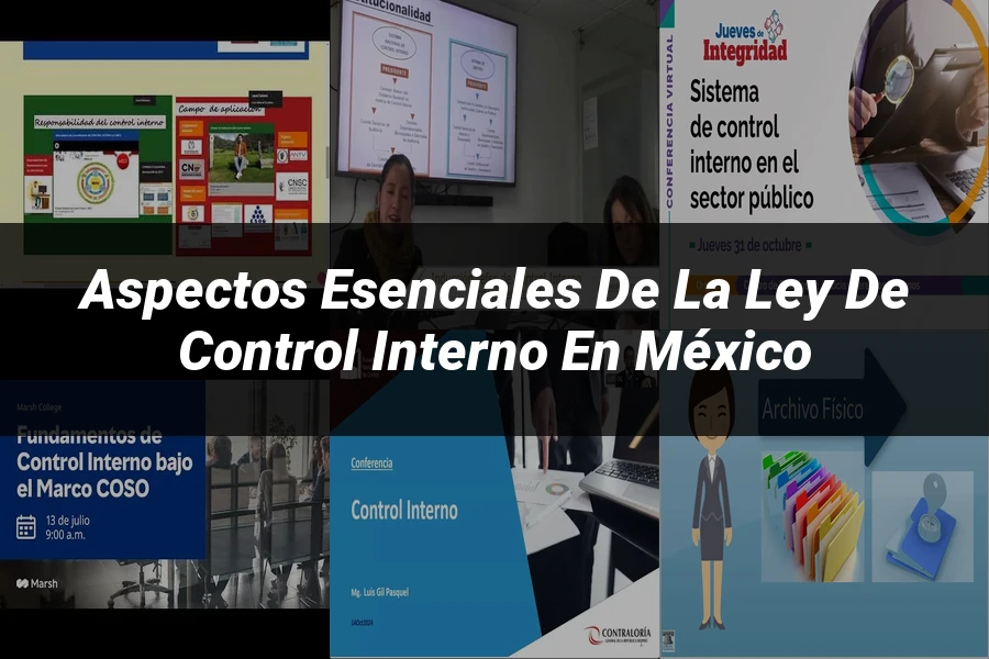 "Aspectos esenciales de la ley de control interno en México"