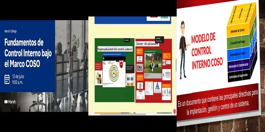 "Aspectos esenciales de la ley de control interno en México"