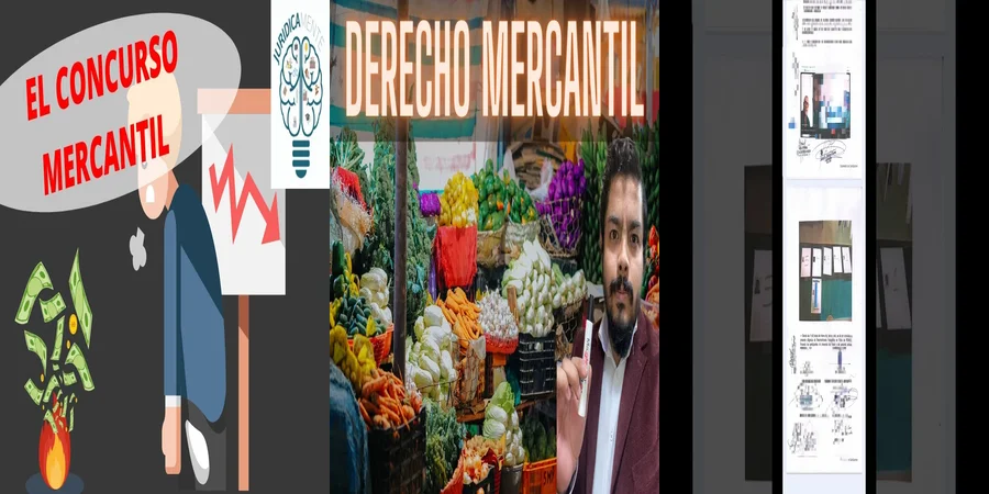 "Aspectos esenciales de la ley de derecho mercantil en México"
