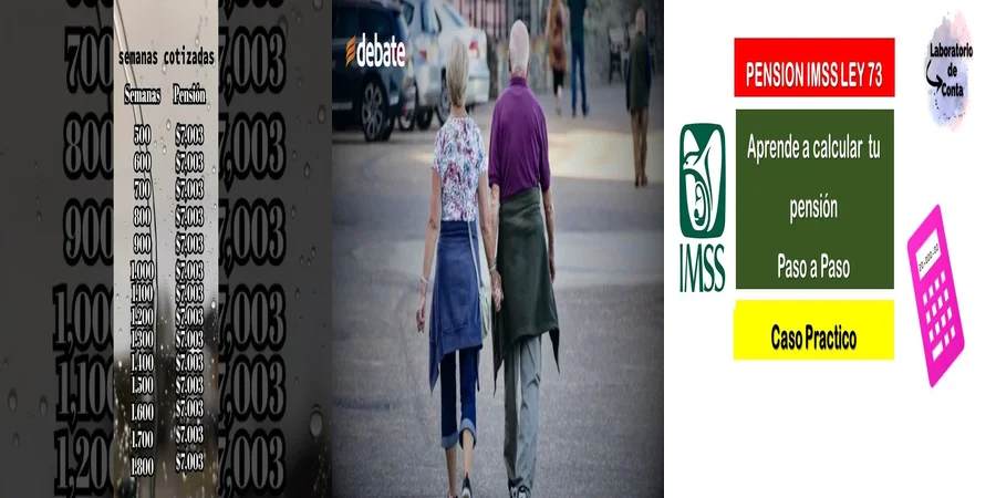 "Aspectos esenciales de la ley de jubilación del IMSS en México"