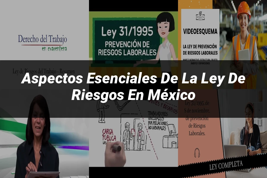 "Aspectos esenciales de la ley de riesgos en México"