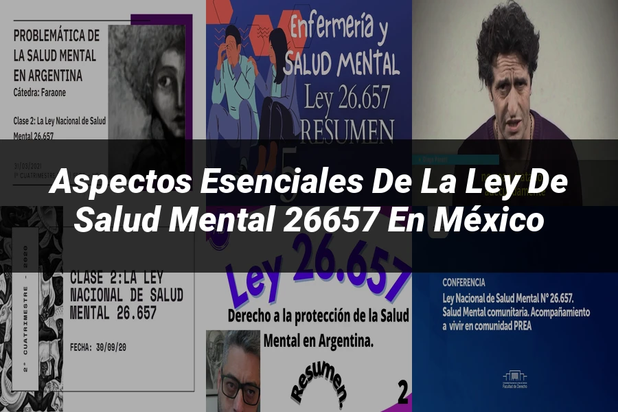 "Aspectos esenciales de la ley de salud mental 26657 en México"