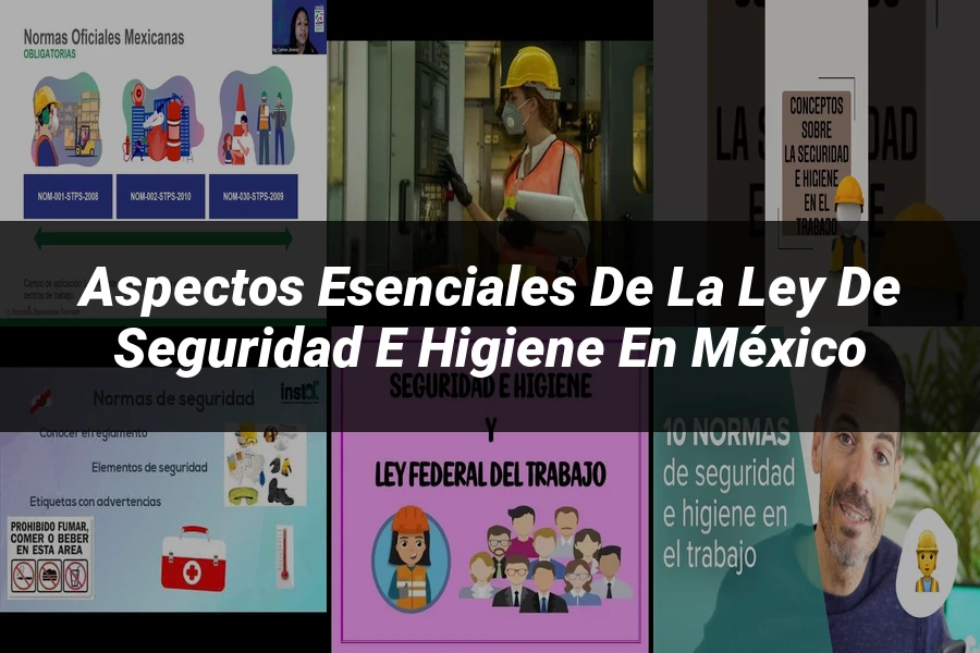 "Aspectos esenciales de la ley de seguridad e higiene en México"