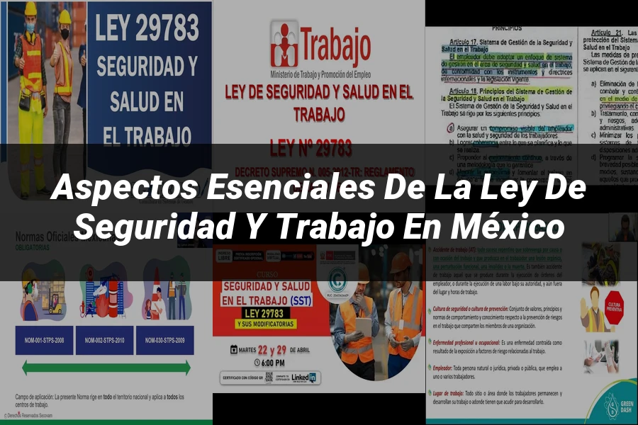 "Aspectos esenciales de la ley de seguridad y trabajo en México"