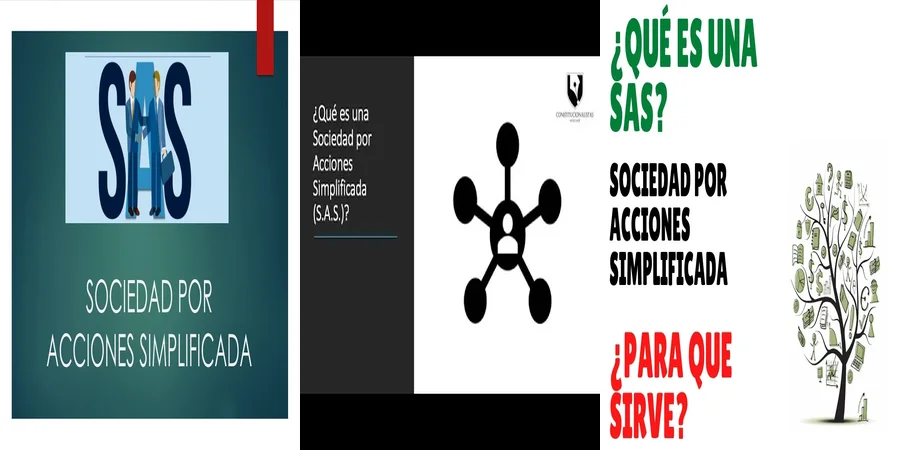 "Aspectos esenciales de la ley de sociedad anónima simplificada en México"