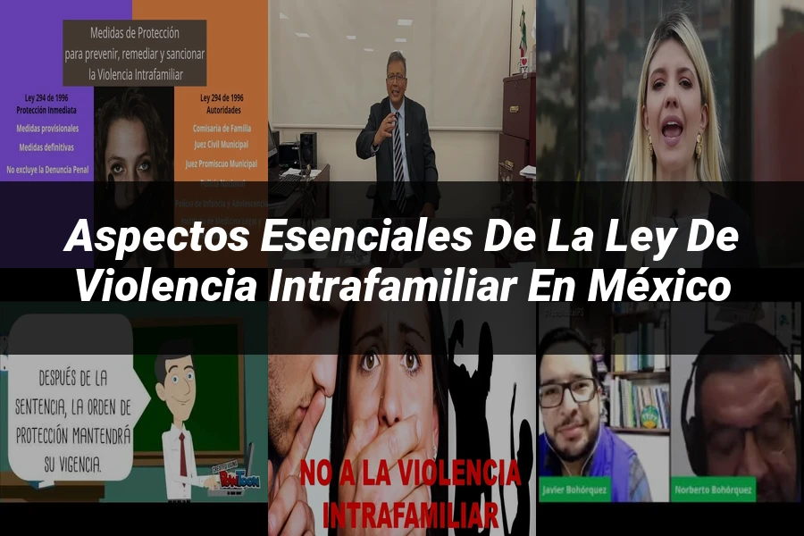 "Aspectos esenciales de la ley de violencia intrafamiliar en México"