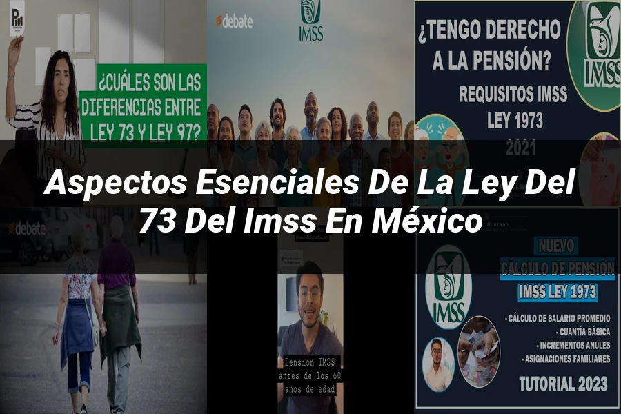 "Aspectos esenciales de la ley del 73 del IMSS en México"