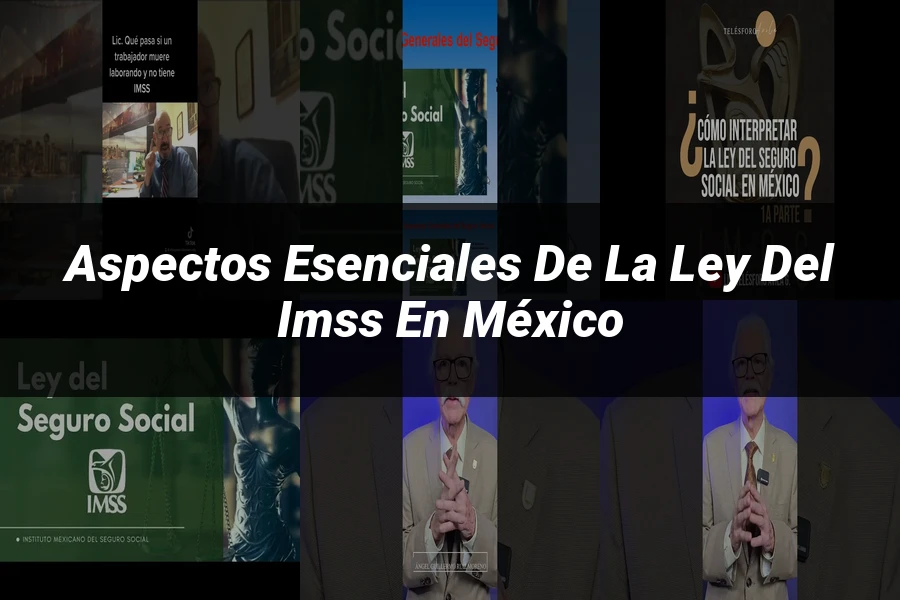 "Aspectos esenciales de la ley del IMSS en México"