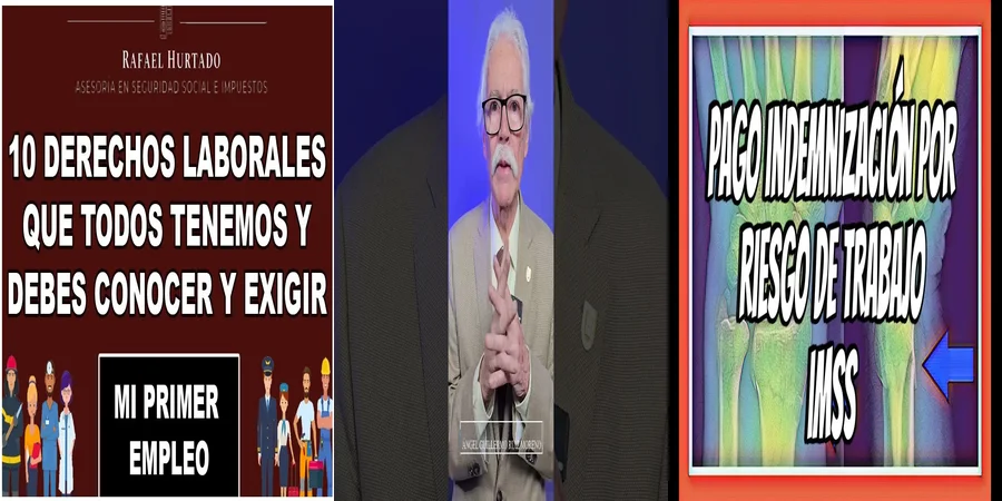 "Aspectos esenciales de la ley del IMSS en México"