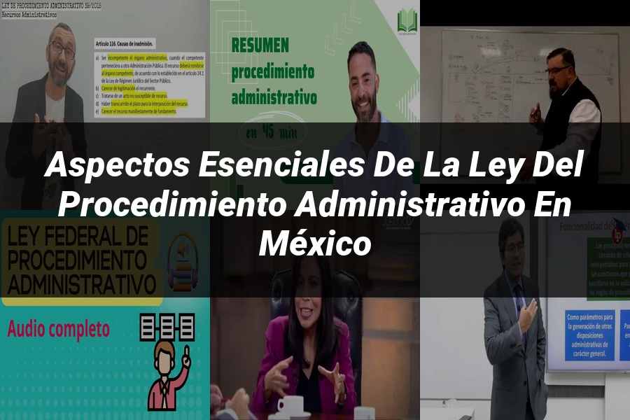"Aspectos esenciales de la ley del procedimiento administrativo en México"