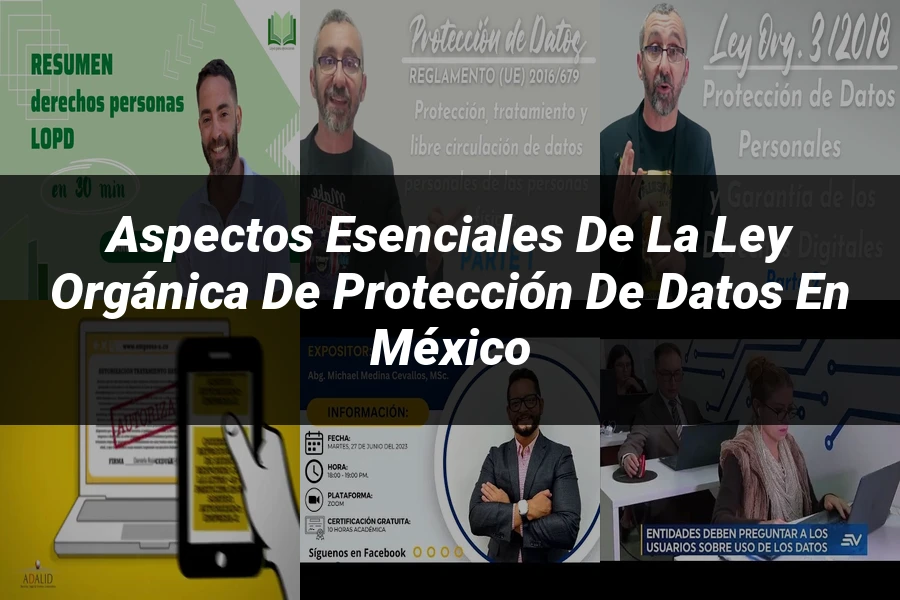 "Aspectos esenciales de la ley orgánica de protección de datos en México"