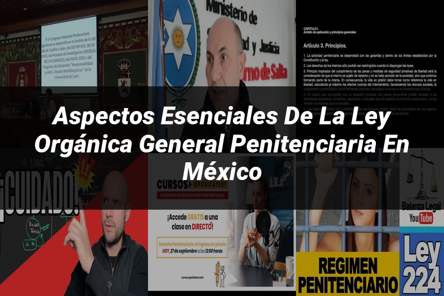 "Aspectos esenciales de la ley orgánica general penitenciaria en México"