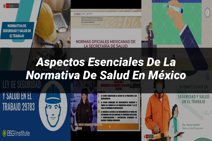 "Aspectos esenciales de la normativa de salud en México"